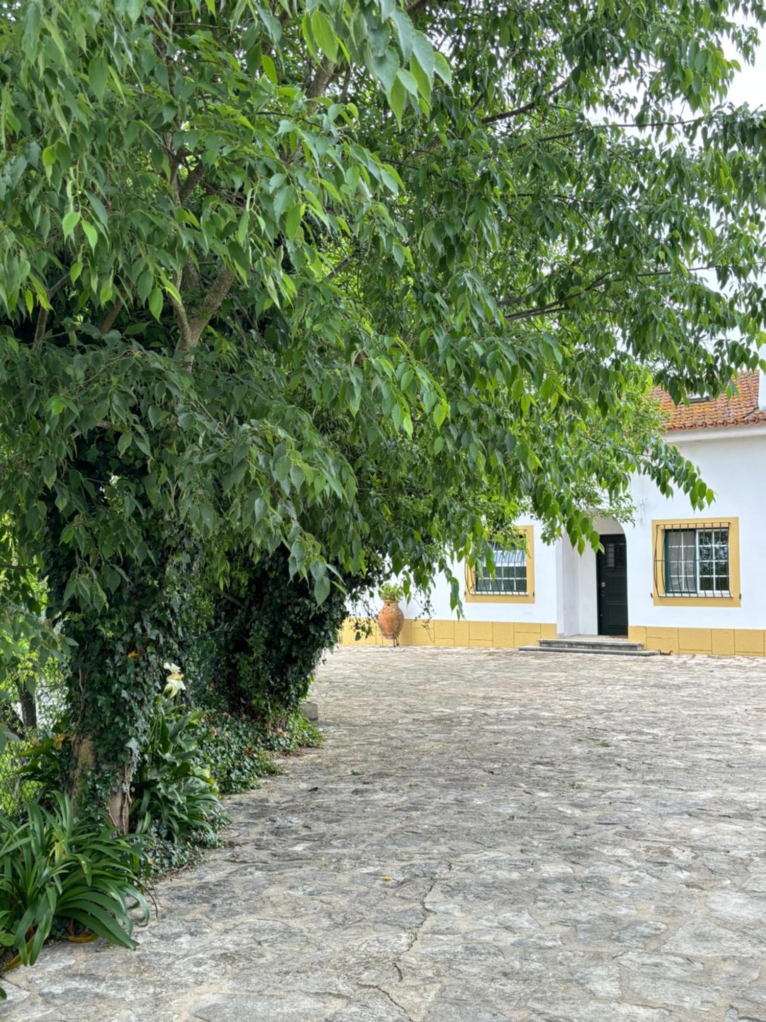Casa Da Nogueira Villa Tomar Exterior photo